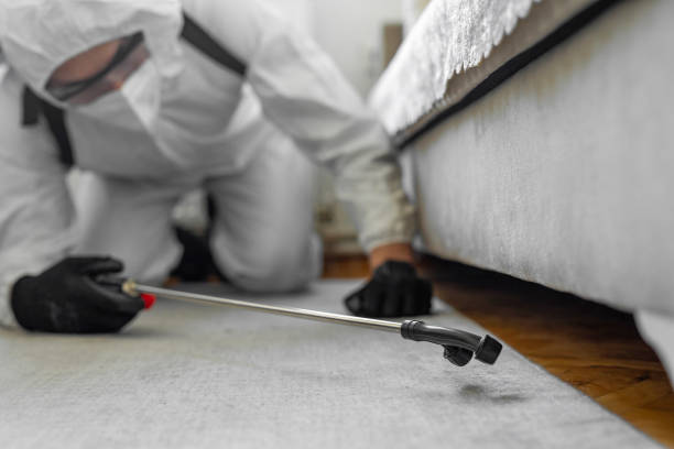 Professional Bed Bug Control technician working in Hutchinson County County, TX